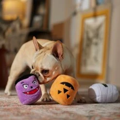 Frisco Halloween Haunted Friends Plush Squeaky Dog Toy, 3 Count -The Pet Haven Shop 270533 PT3. AC SS1800 V1689878438