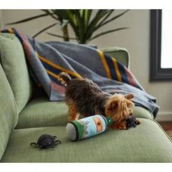 Frisco Camping Bug Spray Plush Squeaky Dog Toy, 3 Count 7 Frisco Camping Bug Spray Plush Squeaky Dog Toy, 3 Count -The Pet Haven Shop 270989 PT3. AC SS1800 V1625009020