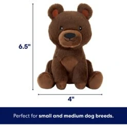 Frisco Camping Bear Plush Squeaky Dog Toy 9 Frisco Camping Bear Plush Squeaky Dog Toy -The Pet Haven Shop 270999 PT1. AC SS1800 V1686579199