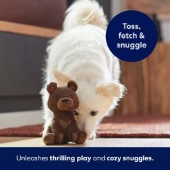 Frisco Camping Bear Plush Squeaky Dog Toy 12 Frisco Camping Bear Plush Squeaky Dog Toy -The Pet Haven Shop 270999 PT5. AC SS1800 V1691785245