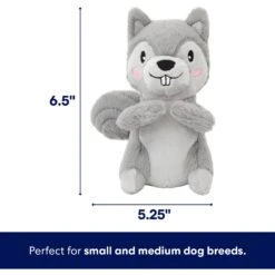 Frisco Camping Squirrel Plush Squeaky Dog Toy -The Pet Haven Shop 271001 PT1. AC SS1800 V1686579631