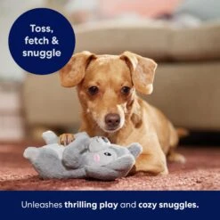 Frisco Camping Squirrel Plush Squeaky Dog Toy -The Pet Haven Shop 271001 PT5. AC SS1800 V1691785245