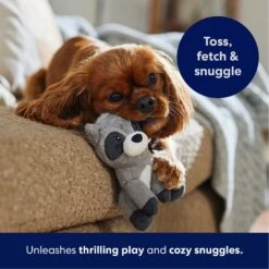 Frisco Camping Raccoon Plush Squeaky Dog Toy -The Pet Haven Shop 271003 PT4. AC SS1800 V1695670777