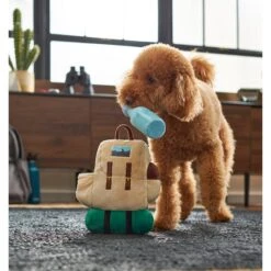 Frisco Camping Backpack Plush Squeaky Dog Toy -The Pet Haven Shop 271005 PT3. AC SS1800 V1625009263