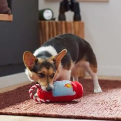 Frisco Camping Lantern Plush With Rope Squeaky Dog Toy 7 Frisco Camping Lantern Plush With Rope Squeaky Dog Toy -The Pet Haven Shop 271013 PT3. AC SS1800 V1625160766