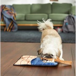 Frisco Camping Smores & Sleeping Bag Flat Plush Squeaky Dog Toy, 2 Count 7 Frisco Camping Smores & Sleeping Bag Flat Plush Squeaky Dog Toy, 2 Count -The Pet Haven Shop 271018 PT3. AC SS1800 V1625009010