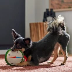 Frisco Camping Compass Plush With Rope Squeaky Dog Toy -The Pet Haven Shop 271020 PT3. AC SS1800 V1625008965