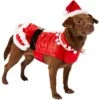 Frisco Mrs. Claus Dog & Cat Costume -The Pet Haven Shop 276150 MAIN. AC SS1800 V1631574399