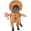 Frisco Front Walking Gingerbread Dog & Cat Costume -The Pet Haven Shop 276156 MAIN. AC SS1800 V1631659697