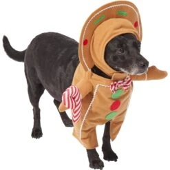 Frisco Front Walking Gingerbread Dog & Cat Costume 12 Frisco Front Walking Gingerbread Dog & Cat Costume -The Pet Haven Shop 276156 PT3. AC SS1800 V1631660334