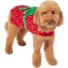 Frisco Holiday Giftbox Dog & Cat Costume -The Pet Haven Shop 276175 MAIN. AC SS1800 V1631672803