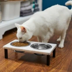 Frisco Marble Elevated Stainless Steel Double Diner Dog & Cat Bowls 11 Frisco Marble Elevated Stainless Steel Double Diner Dog & Cat Bowls -The Pet Haven Shop 277559 PT3. AC SS1800 V1630347820