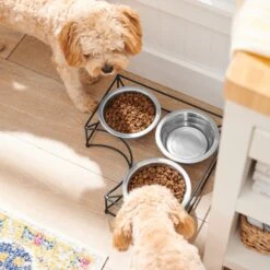 Frisco Multi Pet Feeding Corner 3-Bowls Stainless Steel Dog & Cat Bowl 10 Frisco Multi Pet Feeding Corner 3-Bowls Stainless Steel Dog & Cat Bowl -The Pet Haven Shop 277561 PT2. AC SS1800 V1630346973