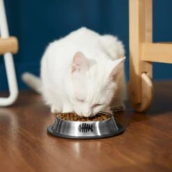 Frisco Fish Print Non-Skid Stainless Steel Dish Cat Bowl -The Pet Haven Shop 277583 PT3. AC SS1800 V1630347938
