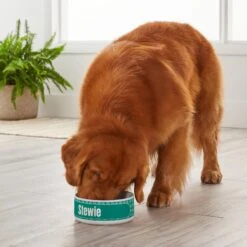 Frisco General Pet Ceramic Personalized Dog & Cat Bowl 9 Frisco General Pet Ceramic Personalized Dog & Cat Bowl -The Pet Haven Shop 278922 PT3. AC SS1800 V1629147409