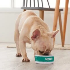 Frisco Personalized General Dog & Cat Small Dog Bowl -The Pet Haven Shop 278924 PT3. AC SS1800 V1629147374