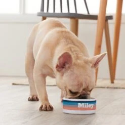 Frisco Personalized Watercolor Small Dog & Cat Bowl -The Pet Haven Shop 278944 PT3. AC SS1800 V1629147733