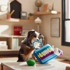 Frisco Back To School Lunchbox With Juice & Apple Plush With Rope Squeaky Dog Toy 7 Frisco Back To School Lunchbox With Juice & Apple Plush With Rope Squeaky Dog Toy -The Pet Haven Shop 279427 PT3. AC SS1800 V1628191372