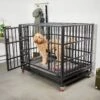 Frisco Ultimate Foldable & Stackable Heavy Duty Steel Metal Single Door Dog Crate -The Pet Haven Shop 280395 MAIN. AC SS1800 V1632851201