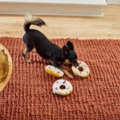 Frisco Fall Maple Bacon Donuts Plush Squeaky Dog Toy, 3 Count -The Pet Haven Shop 285613 PT3. AC SS1800 V1629725241