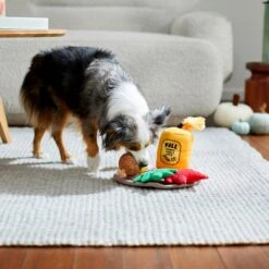 Frisco Fall Festive Candle Charger Plush Squeaky Dog Toy, 4 Count -The Pet Haven Shop 285615 PT3. AC SS1800 V1629725135