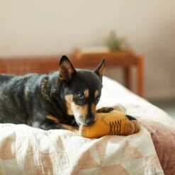 Frisco Fall Boot Plush Squeaky Dog Toy -The Pet Haven Shop 285619 PT3. AC SS1800 V1629724969