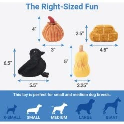 Frisco Fall Farmhouse Hide & Seek Puzzle Plush Squeaky Dog Toy -The Pet Haven Shop 285629 PT2. AC SS1800 V1636990881