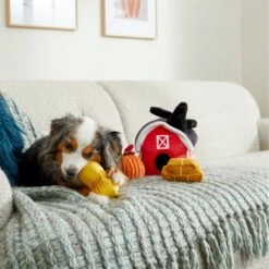Frisco Fall Farmhouse Hide & Seek Puzzle Plush Squeaky Dog Toy -The Pet Haven Shop 285629 PT3. AC SS1800 V1629725107