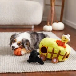 Frisco Fall Hay Wagon Hide & Seek Puzzle Plush Squeaky Dog Toy -The Pet Haven Shop 285631 PT3. AC SS1800 V1629724940