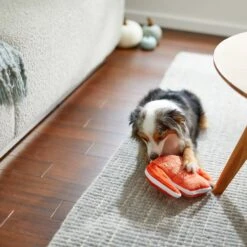 Frisco Fall Sweater Weather Flat Plush Squeaky Dog Toy -The Pet Haven Shop 285635 PT3. AC SS1800 V1629725212