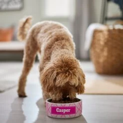 Frisco Personalized Plaid Ceramic Dog Bowl -The Pet Haven Shop 287013 PT4. AC SS1800 V1639518088