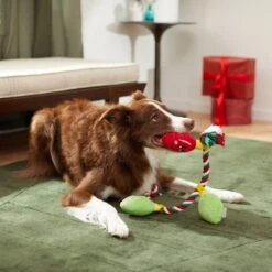 Frisco Holiday Lights Plush With Rope Squeaky Dog Toy -The Pet Haven Shop 287109 PT3. AC SS1800 V1632775707
