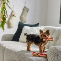 Frisco Holiday Bacon Plush Squeaky Dog Toy, 2 Count -The Pet Haven Shop 287143 PT3. AC SS1800 V1632774888