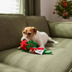 Frisco Flower Bouquet Plush Squeaky Dog Toy -The Pet Haven Shop 287163 PT3. AC SS1800 V1632776821