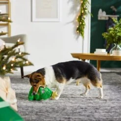 Frisco Holiday Tree Thin Plush Squeaky Dog Toy 9 Frisco Holiday Tree Thin Plush Squeaky Dog Toy -The Pet Haven Shop 287167 PT3. AC SS1800 V1632773873