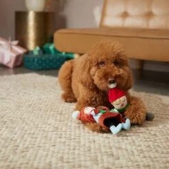 Frisco Holiday Carolers Plush Squeaky Dog Toy, 3 Count -The Pet Haven Shop 287169 PT3. AC SS1800 V1632774907