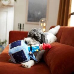 Frisco Nutcracker-in-a-Box Plush Squeaky Dog Toy -The Pet Haven Shop 287173 PT3. AC SS1800 V1632773316