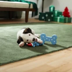 Frisco Blue Bundle Latex Squeaky Puppy Toy, 2 Count -The Pet Haven Shop 287185 PT3. AC SS1800 V1632775643