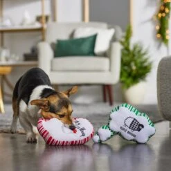 Frisco Holiday Thought Bubble Plush Squeaky Dog Toy, 2 Count -The Pet Haven Shop 287195 PT3. AC SS1800 V1632772983