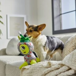 Frisco Holiday Alien Plush Squeaky Dog Toy -The Pet Haven Shop 287201 PT3. AC SS1800 V1632775002