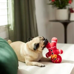 Frisco Holiday Naughty Or Nice Gingerbread Man Reversible Plush Squeaky Dog Toy 11 Frisco Holiday Naughty Or Nice Gingerbread Man Reversible Plush Squeaky Dog Toy -The Pet Haven Shop 287217 PT3. AC SS1800 V1632775304