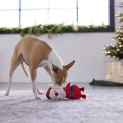 Frisco Holiday Santa & Snowman Reversible Plush Squeaky Dog Toy 11 Frisco Holiday Santa & Snowman Reversible Plush Squeaky Dog Toy -The Pet Haven Shop 287263 PT3. AC SS1800 V1632775712