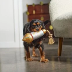 Frisco Firework Plush With Rope Squeaky Dog Toy 7 Frisco Firework Plush With Rope Squeaky Dog Toy -The Pet Haven Shop 288480 PT3. AC SS1800 V1638291301