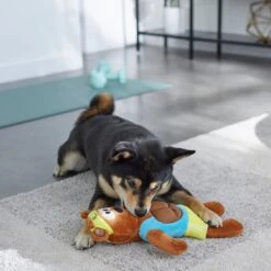 Frisco Fitness Bear Reversible Plush Squeaky Dog Toy -The Pet Haven Shop 288897 PT3. AC SS1800 V1638291713