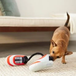 Frisco Running Shoes Plush With Rope Dog Toy -The Pet Haven Shop 288915 PT3. AC SS1800 V1638292478