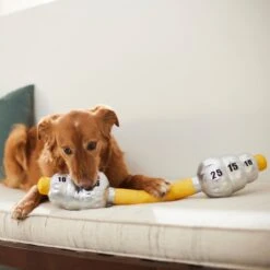 Frisco Weight Bar Wagazoo Plush Squeaky Dog Toy -The Pet Haven Shop 288917 PT3. AC SS1800 V1638292413