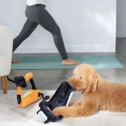 Frisco Treadmill & Bike Plush Squeaky Dog Toy, 2 Count -The Pet Haven Shop 288921 PT3. AC SS1800 V1638290517