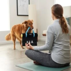 Frisco Yoga Mat Plush Squeaky Dog Toy -The Pet Haven Shop 288923 PT3. AC SS1800 V1638290551