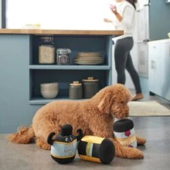 Frisco New Year, New Me Protein Powder Plush Squeaky Dog Toy -The Pet Haven Shop 288925 PT3. AC SS1800 V1638289658