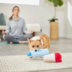 Frisco Protein & Water Bottle Cruncher Dog Toy -The Pet Haven Shop 288927 PT3. AC SS1800 V1638291847